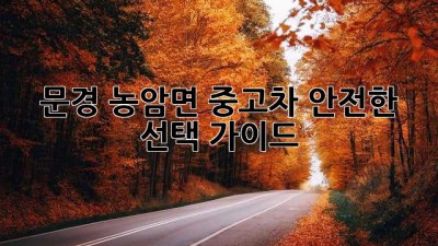 문경 농암면 중고차: 안전한 선택 가이드