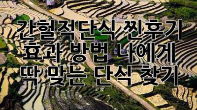 간헐적단식 찐후기🤫 효과? 방법? 나에게 딱 맞는 단식 찾기! ⏳🍎