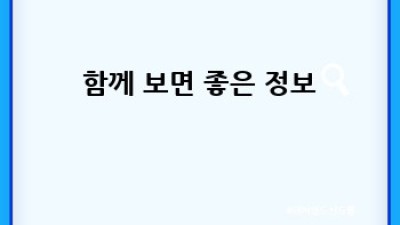 팰리세이드 운전석 매트: 득템 후기와 꿀팁 대방출! ✨